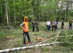 Лісове багатоборство 2013